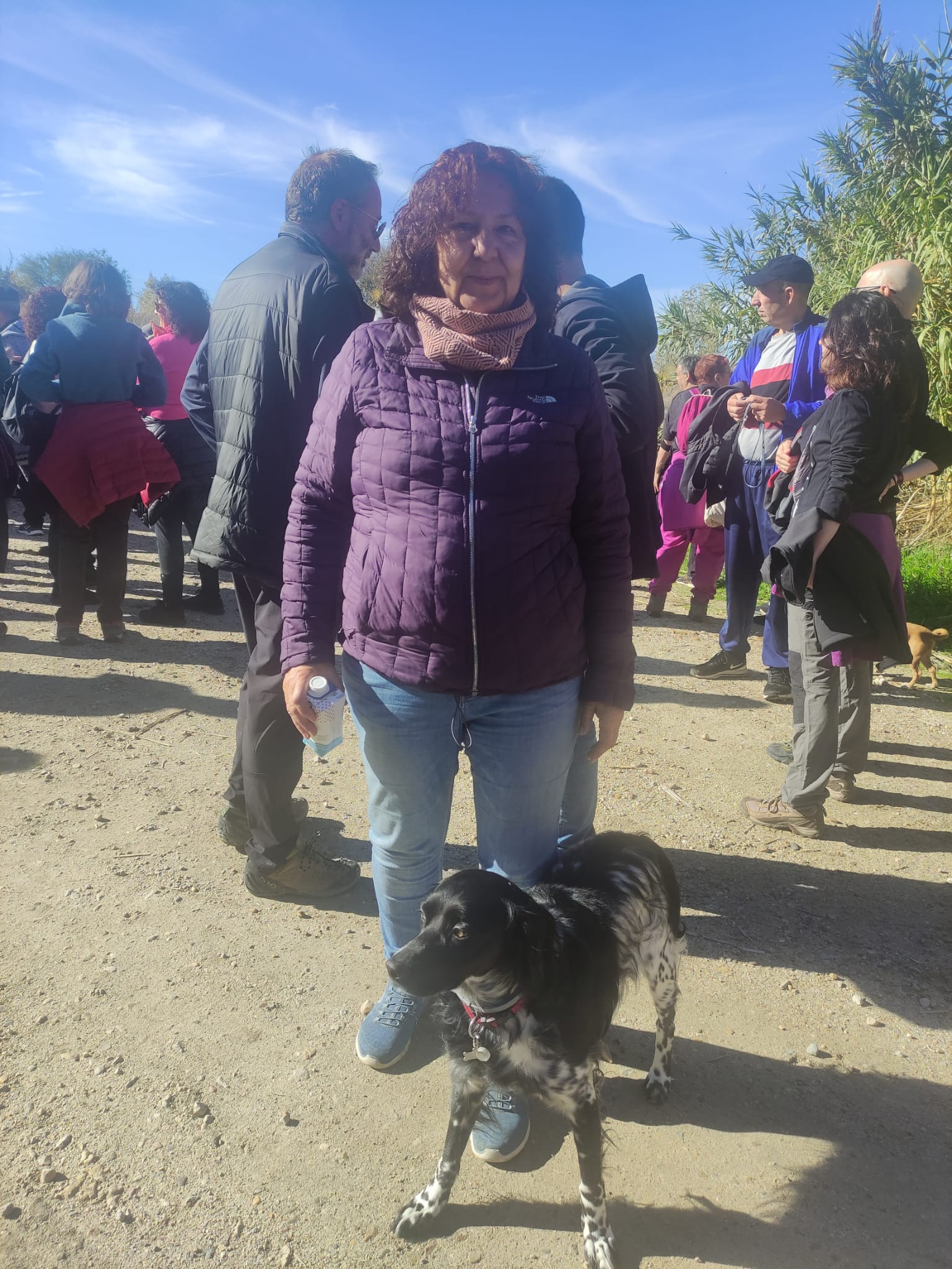 Descripción pendiente.