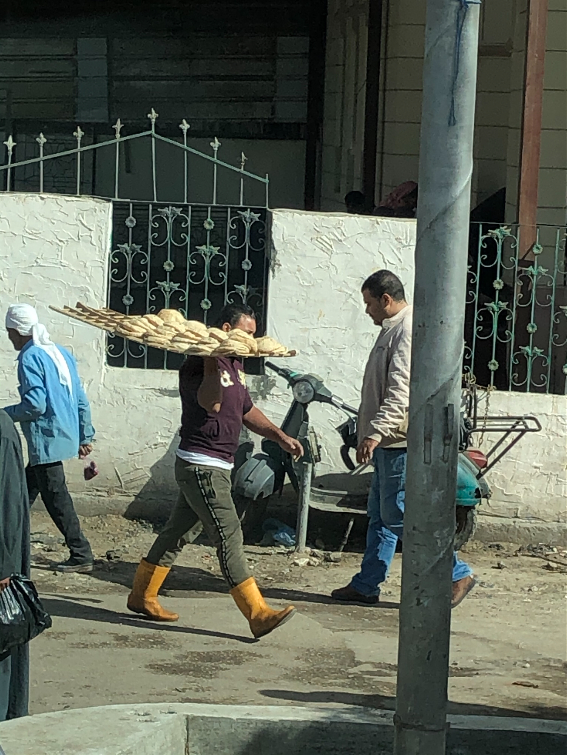 Descripción pendiente.